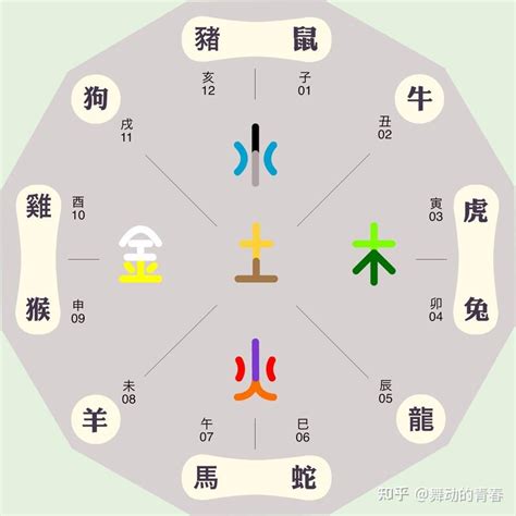 大象五行属什么|大象五行属什么 大象属于五行中的哪一个